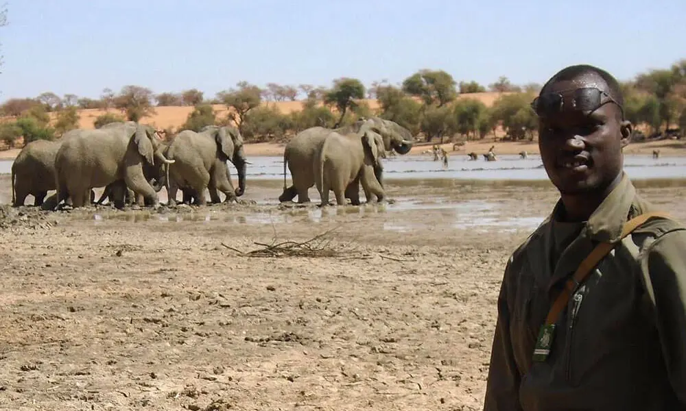 ranger in the gourma
