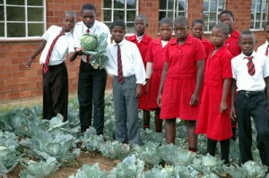 School Gardens