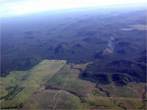 Amazon deforestation