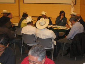 Participants meet and discuss.