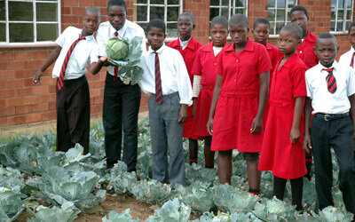 EcoSchools at Isandlwana