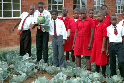 EcoSchools at Isandlwana
