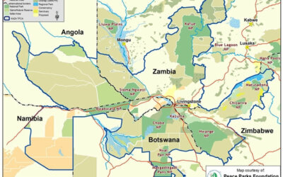 KAZA – A Major Step for Transboundary Conservation in Africa