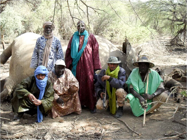 Protected: Mali: Local communities are heroes in the fight against elephant poaching