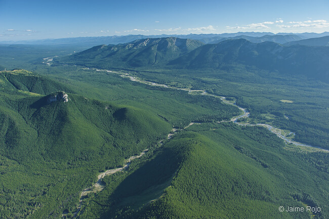 Great News on the Flathead Valley!