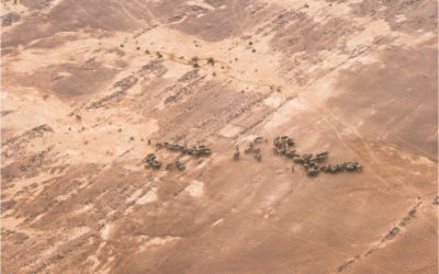 Protected: Mali: Elephants make record-breaking trek to survive