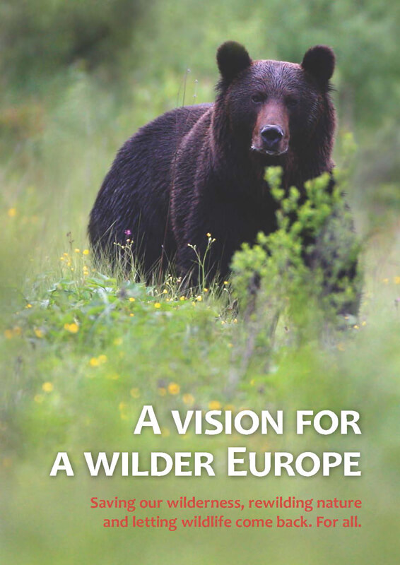 Vision for Wilder Europe