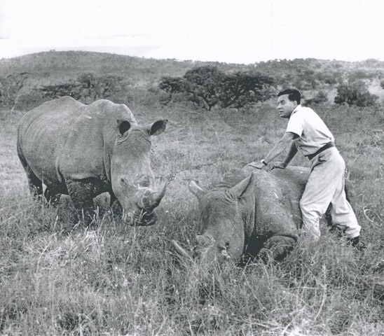 Team Rhino: Conservation Groups Unite for World Rhino Day