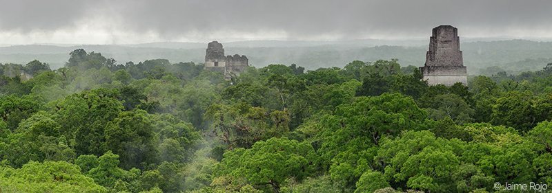 Tikal Jaime Rojo-c