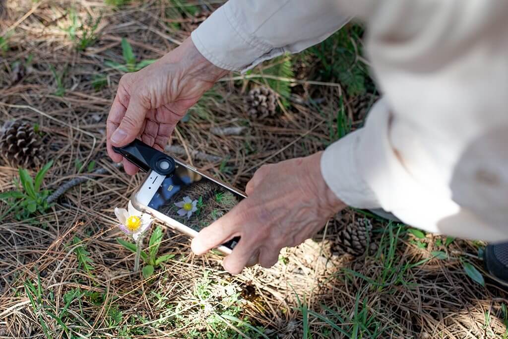 Mobilizing new advocates for wild nature through citizen science