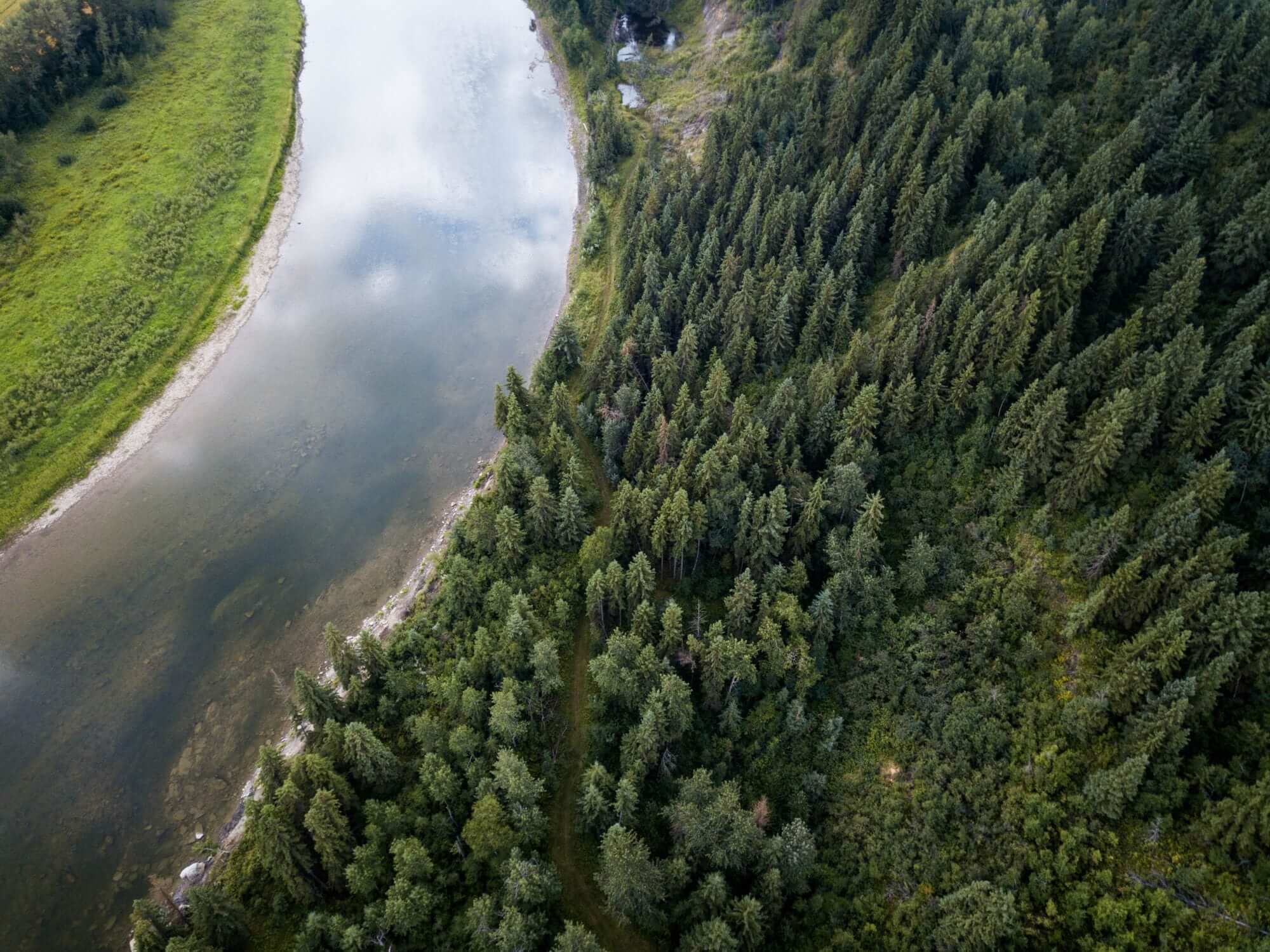 Остановиться вблизи реки. Река с высоты птичьего полета. Река вблизи. Река с дрона. Фото леса и реки с птичьего полета.