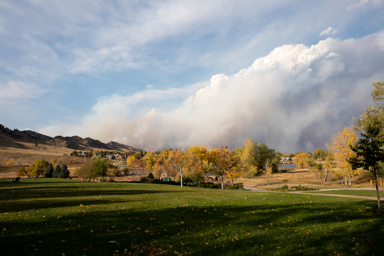 How do wildfires affect our wildlife?