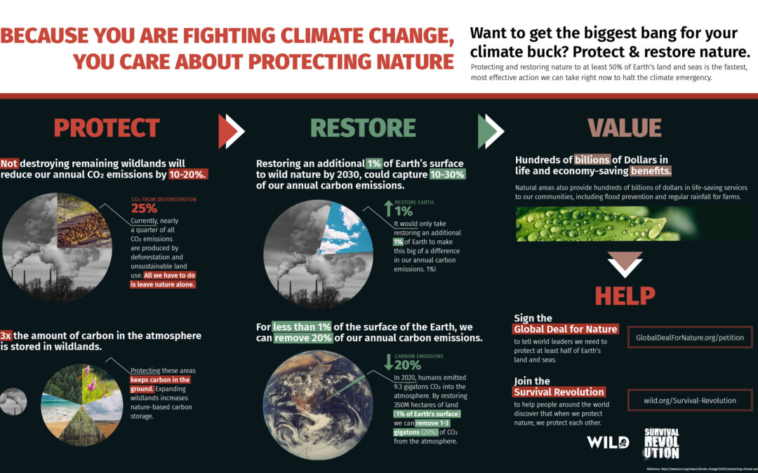 Because You are Fighting Climate Change Infographic