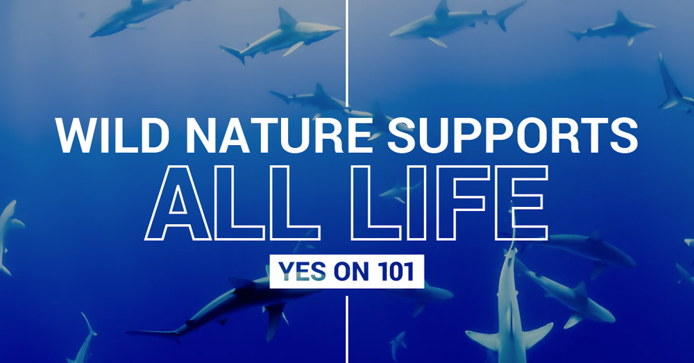 Wild nature supports all life when it has space to thrive. Protecting at least Half of Earth gives nature the space needed to produce the things people need most. I support space for nature. I support IUCN Motion 101. #IUCNCONGRESS https://wild.org/motion-101/