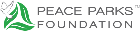Peace Parks Foundation Logo