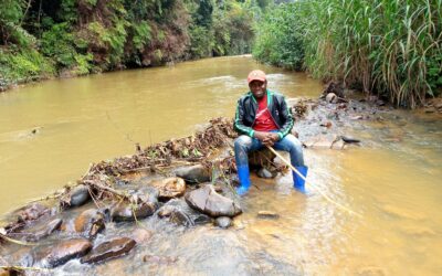 EXL_I Graduate Leads Community Conservation in the Congo