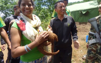 Protecting Pangolins in Nepal