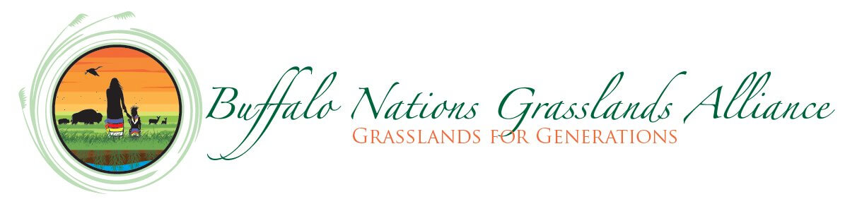 Buffalo Nations Grasslands Alliance