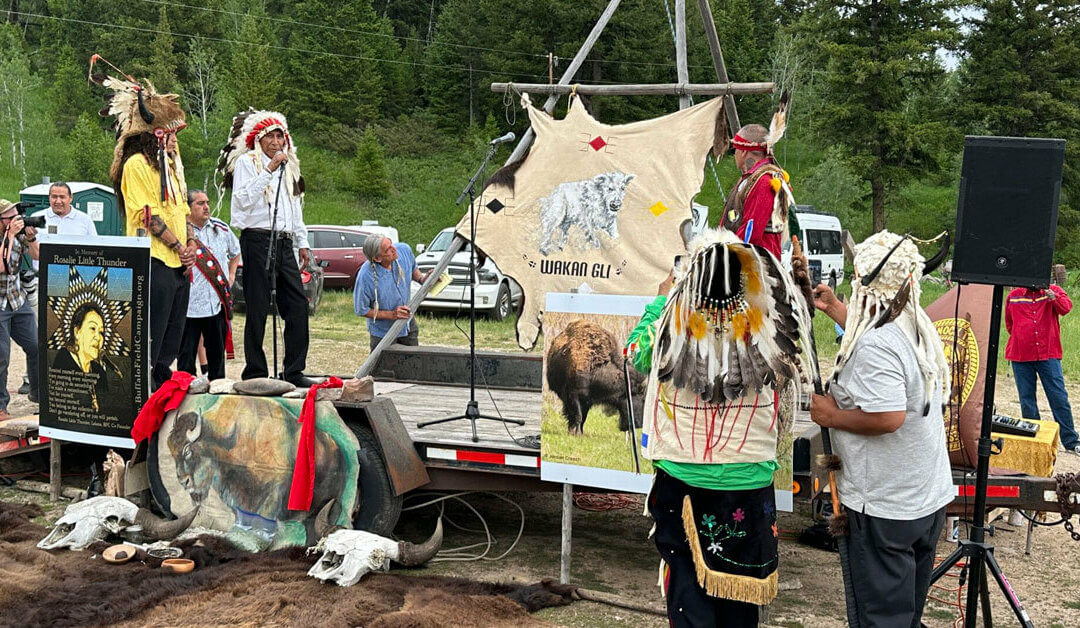 ‘Sacred Return’: Tribal ceremony honors birth of prophesied white buffalo calf (link)