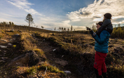 WILD SÁPMI: A New Alliance to Defend Old Growth Press Release