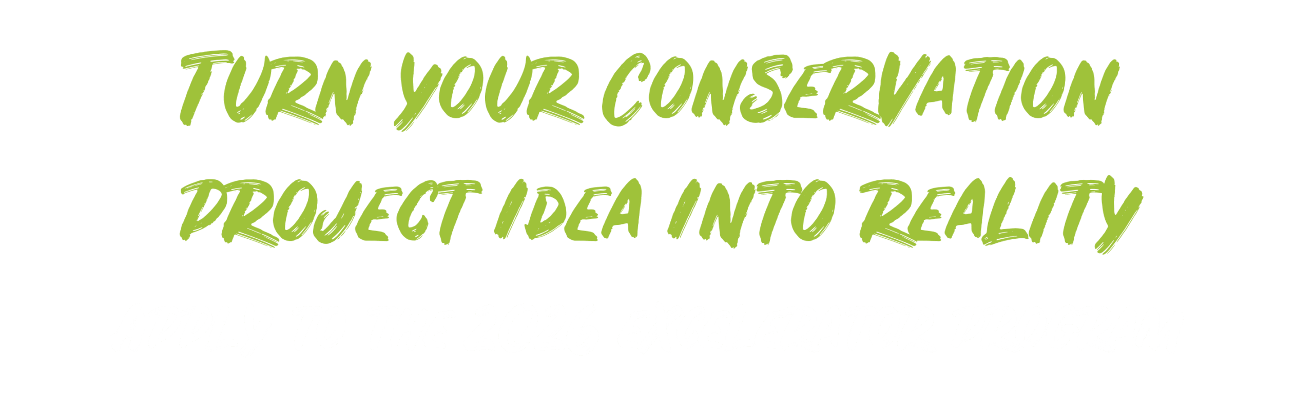 2025 Mentorship Banner